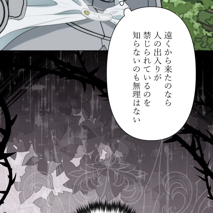 「冤罪悪女は騎士様から逃げられない！」172