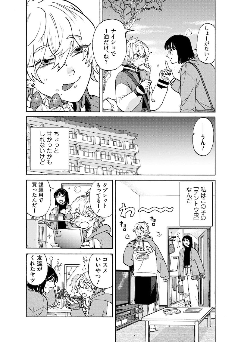 「テントウムシの献身」22