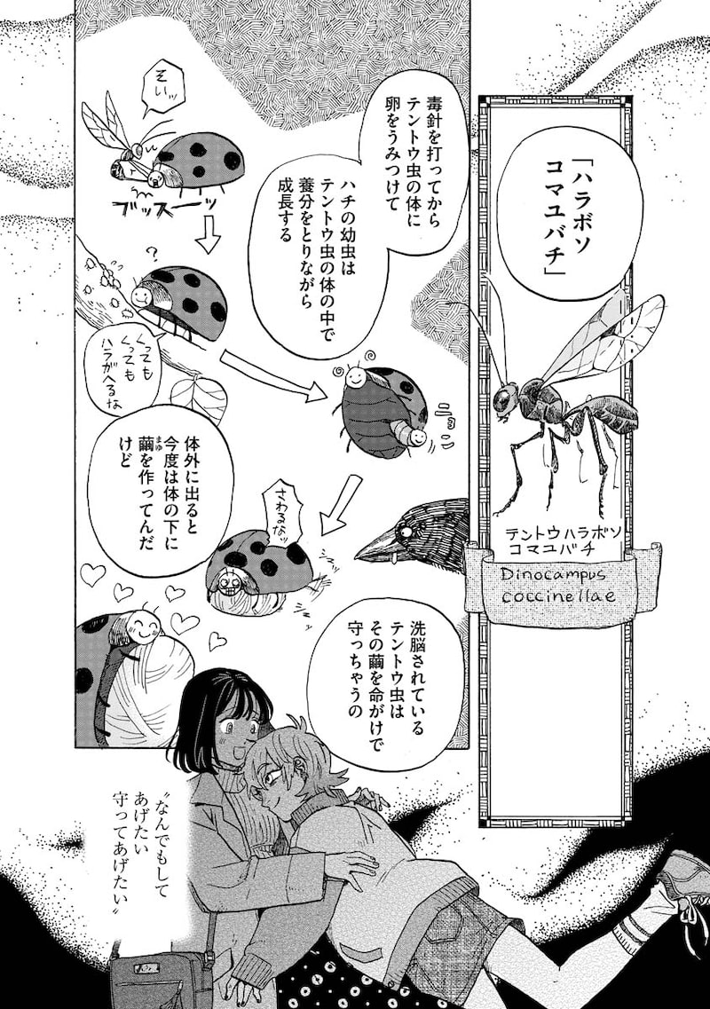 「テントウムシの献身」30