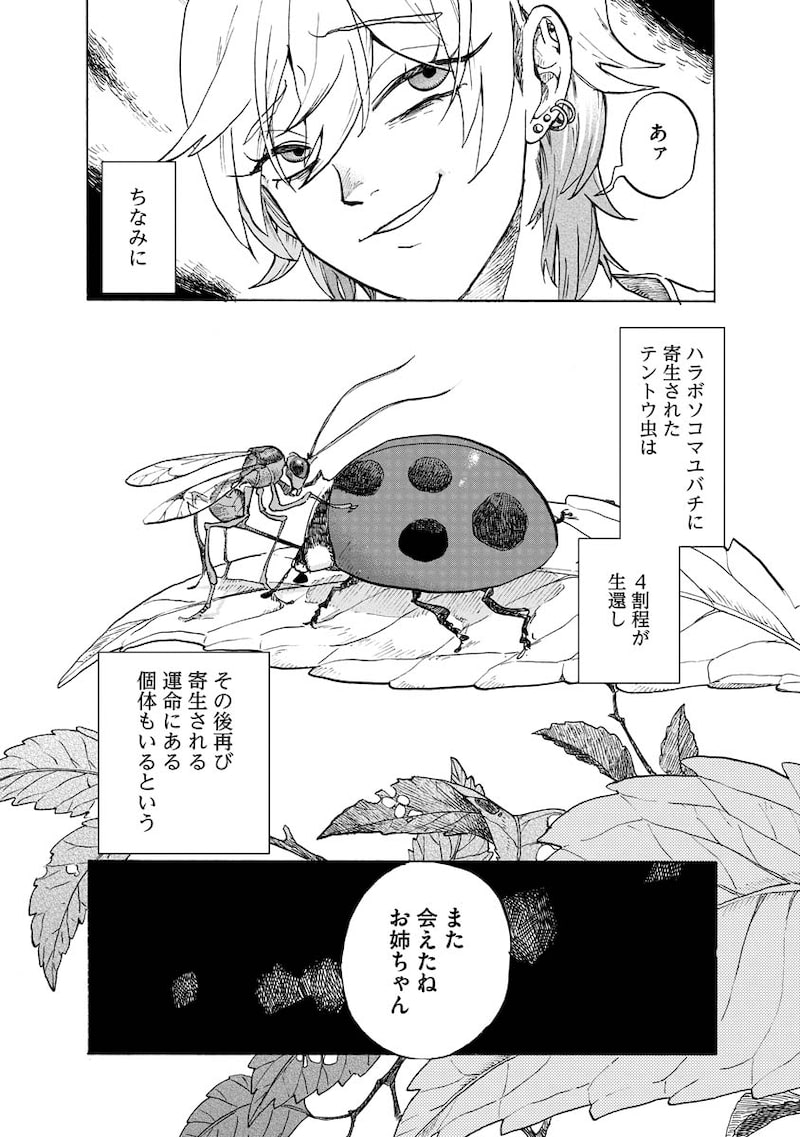 「テントウムシの献身」38