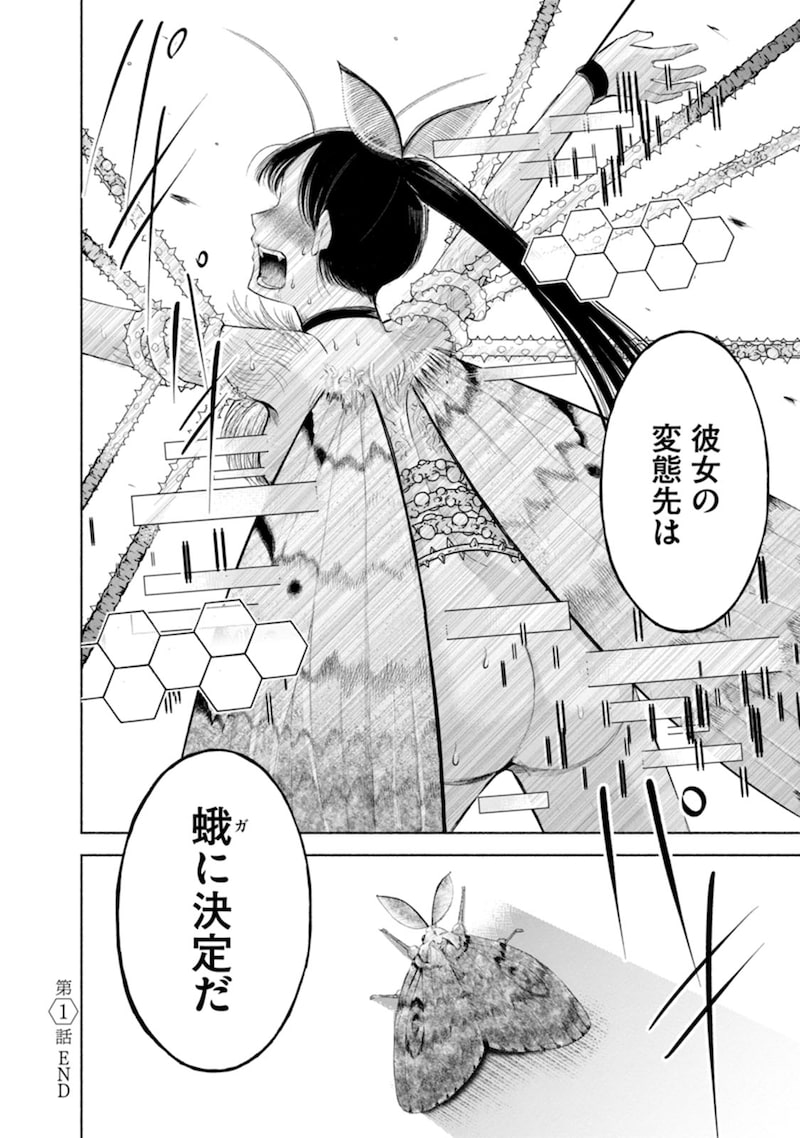 「ザムゼクタ」54