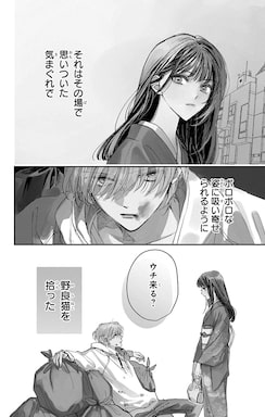 「極道令嬢、猫を拾う。」
