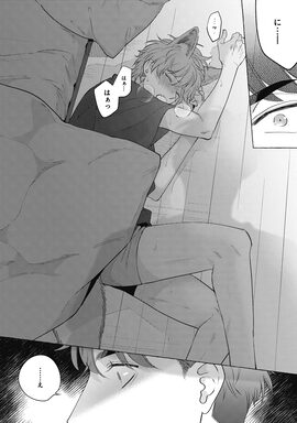 「あいまいなウルフ」