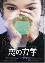 恋の力学