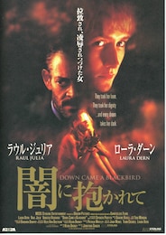 闇に抱かれて（1996年）