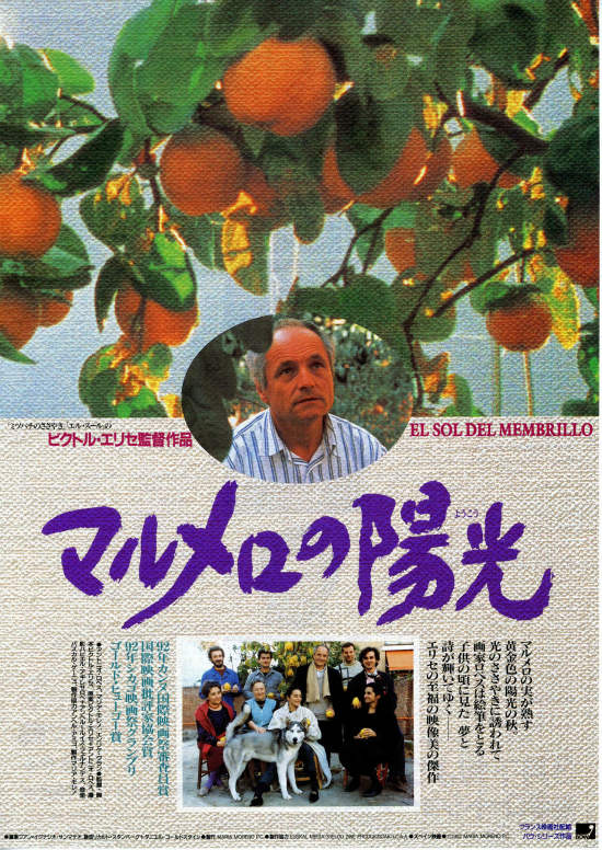 廃盤希少 マルメロの陽光 (