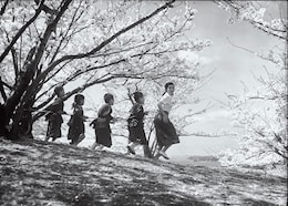 二十四の瞳（1954年）