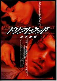 ドリフトウッド／硝子の檻