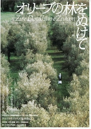 オリーブの林をぬけて