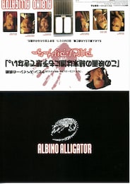 アルビノ・アリゲーター