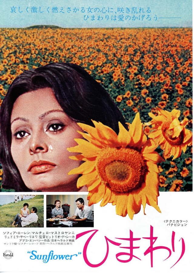 ひまわり（1970年） | あらすじ・内容・スタッフ・キャスト・作品情報 