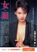 女猫（1983年）