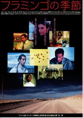 フラミンゴの季節