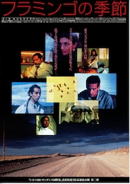 フラミンゴの季節