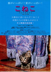 こねこ
