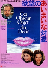 欲望のあいまいな対象