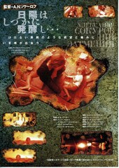 日陽はしづかに発酵し…