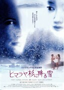 ヒマラヤ杉に降る雪