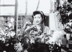 カルメン故郷に帰る