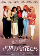 マグノリアの花たち