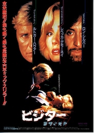 ビジター 欲望の死角