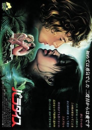 パラダイス（1982年）