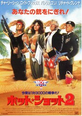 ホット・ショット2