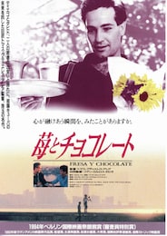 苺とチョコレート