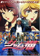 シャム猫・ファーストミッション