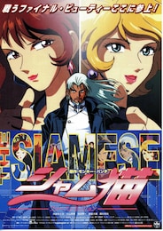 シャム猫・ファーストミッション