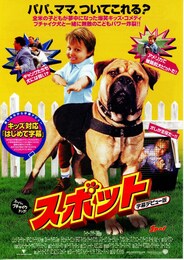 スポット