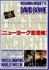 ニューヨーク恋泥棒