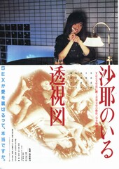 沙耶のいる透視図