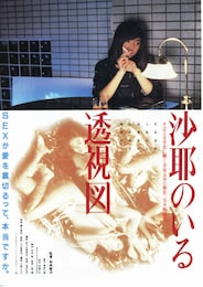 沙耶のいる透視図