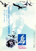 鳥（1963年）