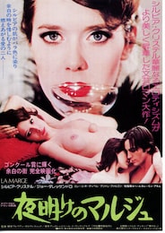 夜明けのマルジュ