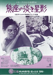 熊座の淡き星影