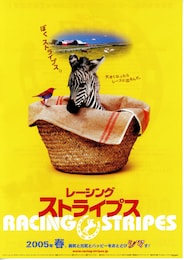レーシング・ストライプス