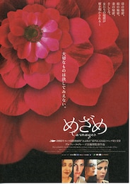 めざめ（2002年）