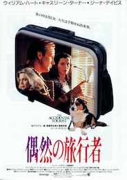 偶然の旅行者