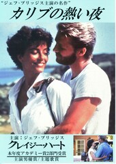 カリブの熱い夜