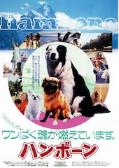 ハンボーン