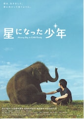 星になった少年/Shining Boy & Little Randy