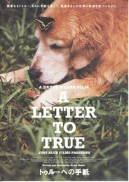 トゥルーへの手紙