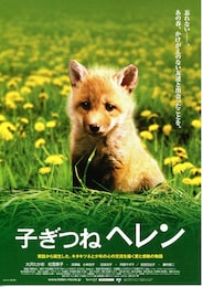 子ぎつねヘレン