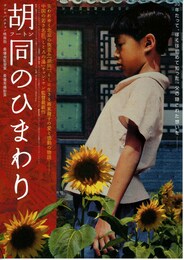 胡同（フートン）のひまわり