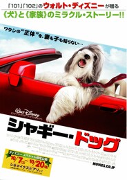 シャギー・ドッグ