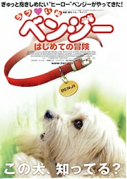 ラブいぬ ベンジー／はじめての冒険