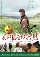 麦の穂をゆらす風