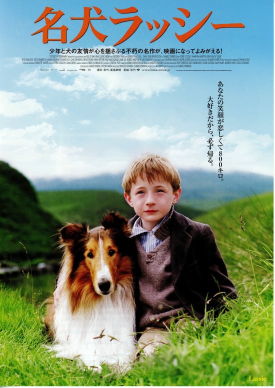 名犬ラッシー 05年 あらすじ 内容 スタッフ キャスト 作品情報 映画ナタリー